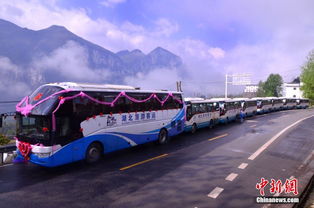 贵州湖北旅游车,湖北旅游大巴贵州