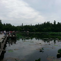 西湖北线旅游,西湖北岸景点