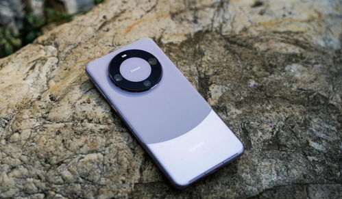 华为mate60很丑,华为mate60用什么芯片