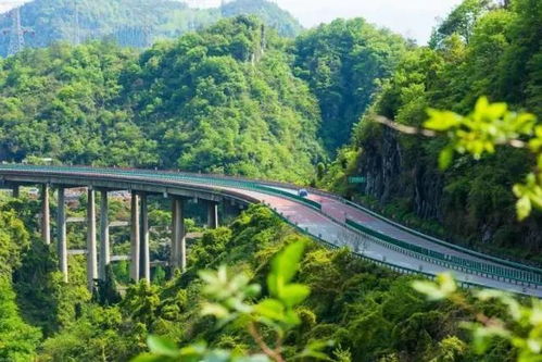 湖北草桥旅游攻略,草桥在哪