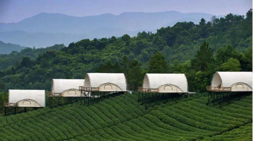 湖北省内夏天带娃旅游文案,湖北适合带娃去的旅游景点