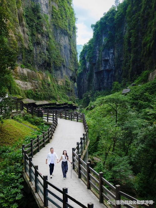 湖北恩施旅游骗局曝光,湖北旅游恩施旅游攻略