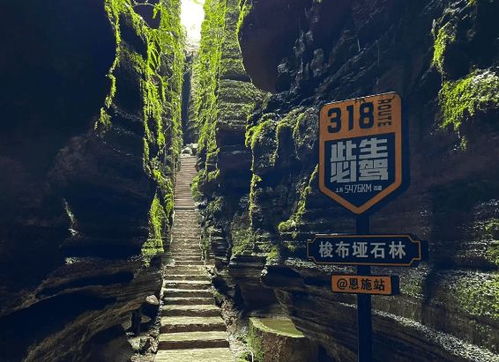 湖北恩施旅游房价,湖北恩施旅游房价多少钱