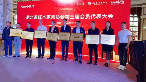 湖北美食街团队成员名单,湖北省美食街