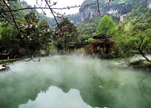 山东去湖北旅游必去景点,山东去湖北旅游必去景点推荐