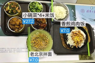 湖北美院作品美食赏析,湖北美术学院食堂