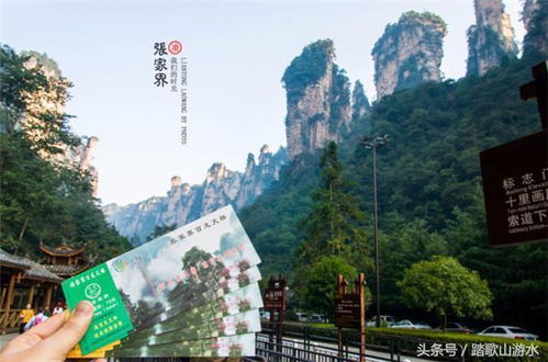 湖南湖北深度旅游,湖南湖北自驾游路线推荐