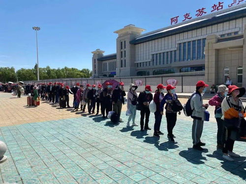 湖北报团山东旅游,湖北旅游对山东人免费