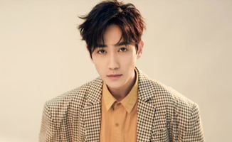 肖战吃的湖北美食图片真实,肖战吃的是什么面