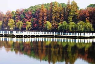 来自湖北秭归旅游,秭归有哪几个旅游的地方