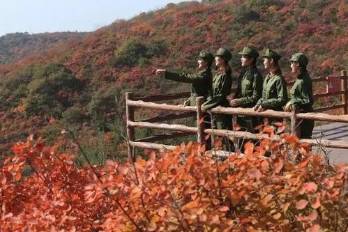 河南人湖北旅游,河南人爱旅游