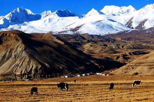 湖北去甘孜旅游,湖北进藏自驾游