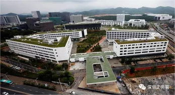 深圳西丽大学城湖北美食,西丽大学城附近美食 深圳西丽大学城湖北美食,西丽大学城附近美食