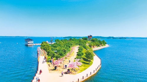 湖北随州农村旅游,随州乡村度假村哪里好