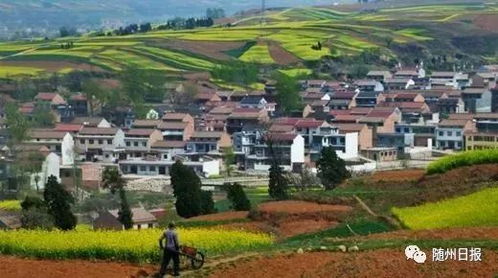 湖北随州农村旅游,随州乡村度假村哪里好
