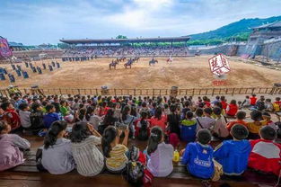 湖北省中秋假期旅游收入,湖北春节旅游收入