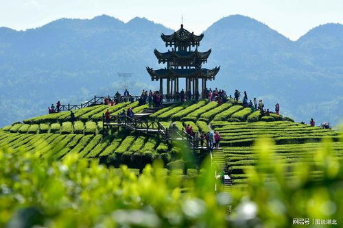 湖北景区智慧旅游建设,湖北旅游资源