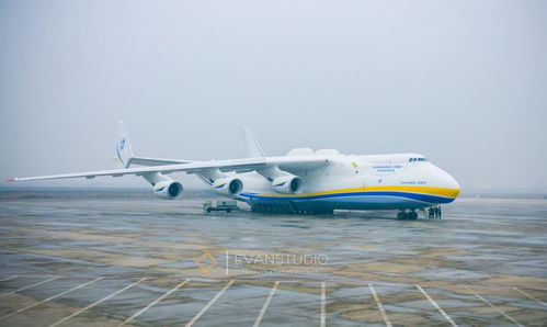 湖北飞途旅游发展,湖北途航物流