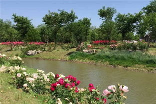 湖北花园旅游攻略,湖北花园旅游攻略大全