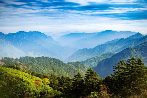 湖北哪里旅游风景好,湖北哪里旅游好玩