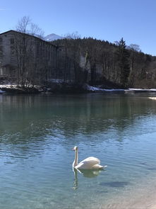 鹿屿森湖北旅游,鹿屿怎么样