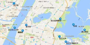湖北今天旅游情况,湖北今天旅游情况最新消息