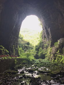 成都湖北恩施旅游,成都恩施多少公里