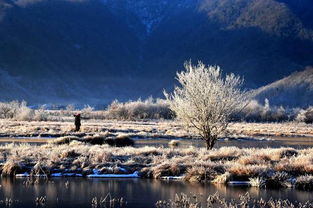 湖北的冬天旅游,湖北冬天旅游排行榜
