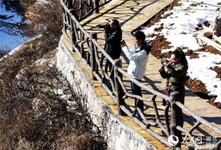 冬季湖北旅游攻略景点,冬季湖北游玩景点推荐