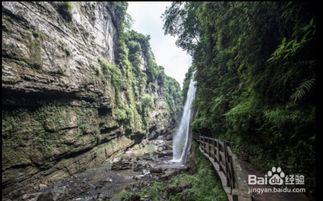 湖北恩施旅游八日游攻略,湖北恩施旅行攻略