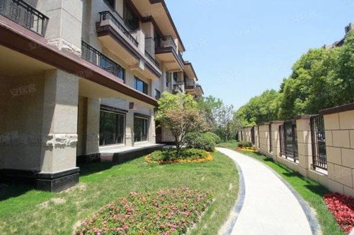 湖北薰衣草旅游景点,一梯两户装修图