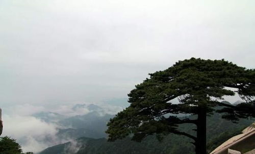湖北旅游小众夏天景点,湖北省内适合夏天旅游的地方