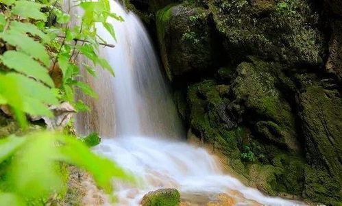 湖北龙潭河旅游,龙潭河风景