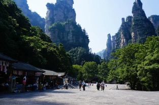 到湖北新家旅游景点攻略,到湖北新家旅游景点攻略一日游