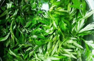 蕲艾湖北旅游产品,湖北蕲春蕲艾