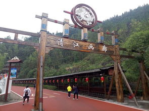 湖北去洛阳旅游,武汉去洛阳旅游三天攻略