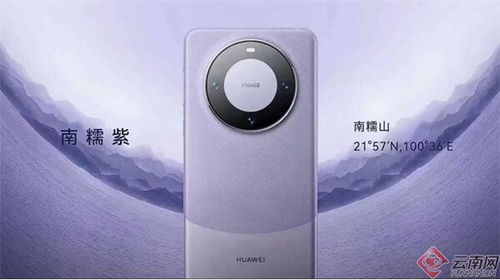 华为mate60颜色灵感来源,华为mate 60