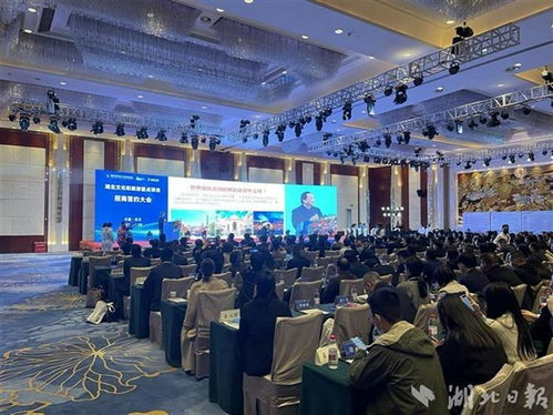 湖北文化旅游集团什么编制,湖北文旅集团待遇