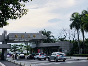 海口滨海小学附近美食推荐,海口滨海学校