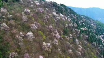 山青水秀有什么美食推荐,山青水秀的旅游景点