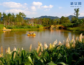 相思湖湿地公园美食推荐,相思湖古镇