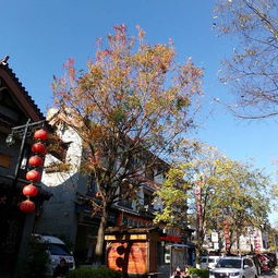 彝人古镇水边美食推荐语,彝人古镇好吃的 彝人古镇水边美食推荐语,彝人古镇好吃的