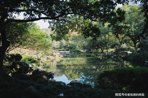 杭州植物园里美食推荐,杭州植物园里美食推荐有哪些