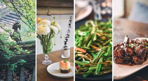 杭州植物园里美食推荐,杭州植物园里美食推荐有哪些