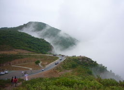阳台山美食推荐语,阳台山有什么好玩的
