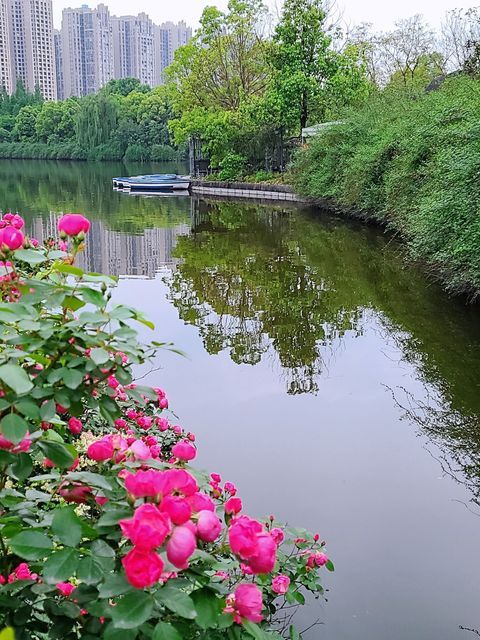 华阳南湖公园内美食推荐,华阳南湖公园属于哪个省哪个市