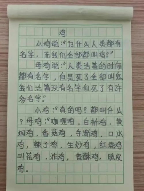 和田特产美食推荐书,和田特产作文400字左右