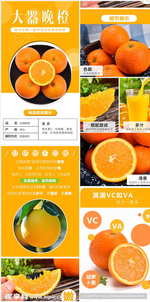 露营美食水果推荐店铺淘宝,适合露营的美食