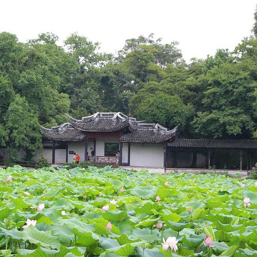 莲塘春色景区美食推荐,莲塘春色景区中心电话