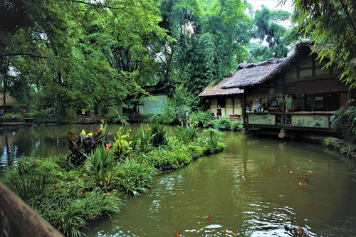 成都青龙湖美食游玩攻略，美食推荐与玩乐指南